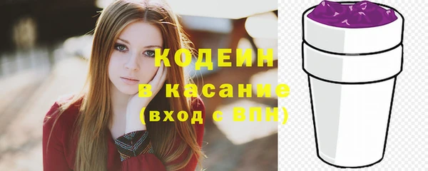 спиды Богородицк
