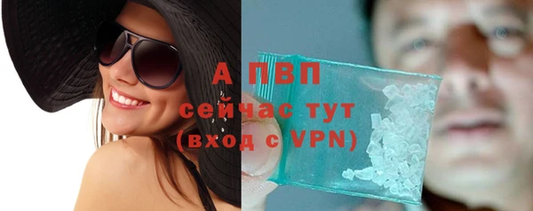 спиды Богородицк