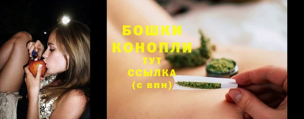 mix Богородск