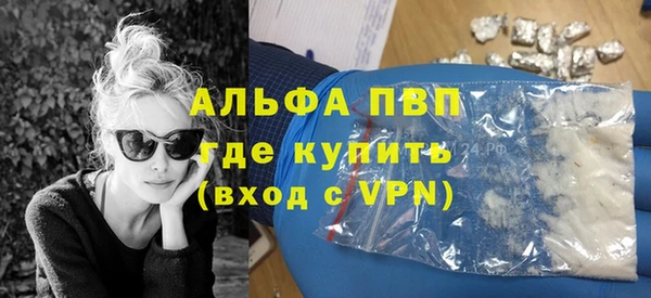 спиды Богородицк