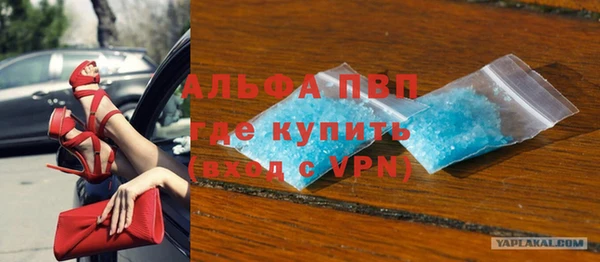 спиды Богородицк