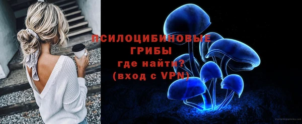 спиды Богородицк