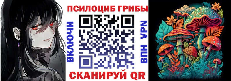 цена   Белоозёрский  Галлюциногенные грибы Psilocybe 